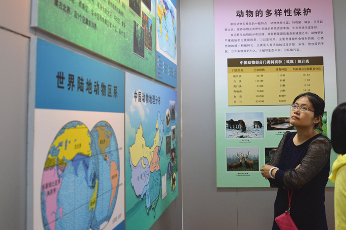 UG环球官网组织教职工代表到河北大学博物馆参观学习