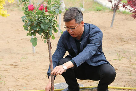 曹妃甸校区又添新绿 ——十万株花苗落户UG环球官方网