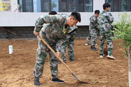 曹妃甸校区又添新绿 ——十万株花苗落户UG环球官方网