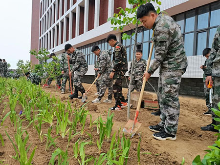 曹妃甸校区又添新绿 ——十万株花苗落户UG环球官方网