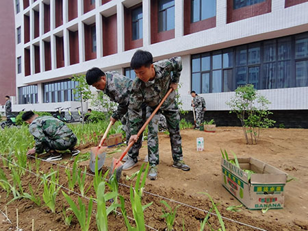 曹妃甸校区又添新绿 ——十万株花苗落户UG环球官方网