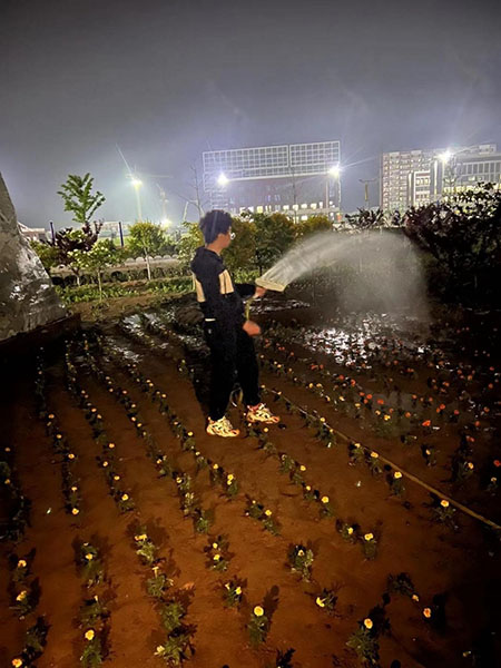 曹妃甸校区又添新绿 ——十万株花苗落户UG环球官方网
