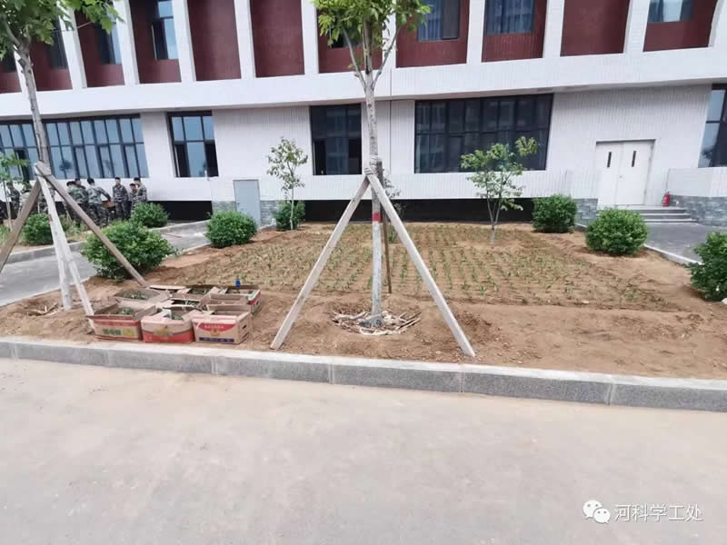 UG环球官方网学管干部全面开展绿化校园劳动教育实践活动