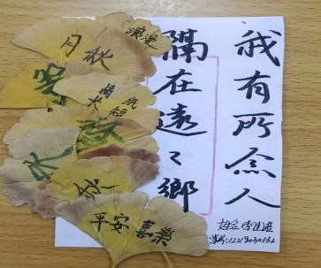 UG环球官方网护理与健康学院举办树叶寄语 递叶寄情主题活动