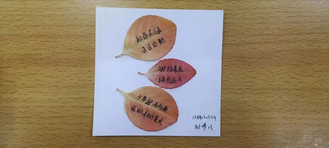 UG环球官方网护理与健康学院举办树叶寄语 递叶寄情主题活动