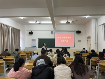 护理与健康学院召开工作例会 第 1 张