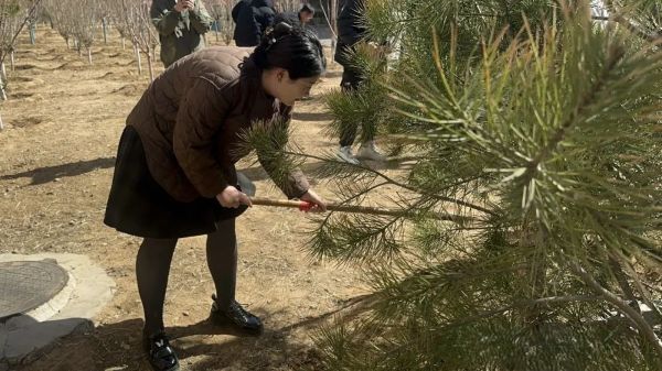 提升生态品质 共建绿色家园 || UG环球官方网各二级学院组织开展植树节主题系列活动（二） 第 3 张