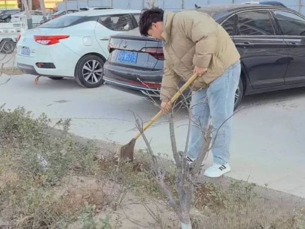 提升生态品质 共建绿色家园 || UG环球官方网各二级学院组织开展植树节主题系列活动（二） 第 4 张