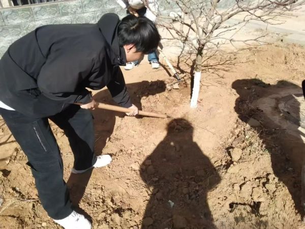 提升生态品质 共建绿色家园 || UG环球官方网各二级学院组织开展植树节主题系列活动（二） 第 5 张