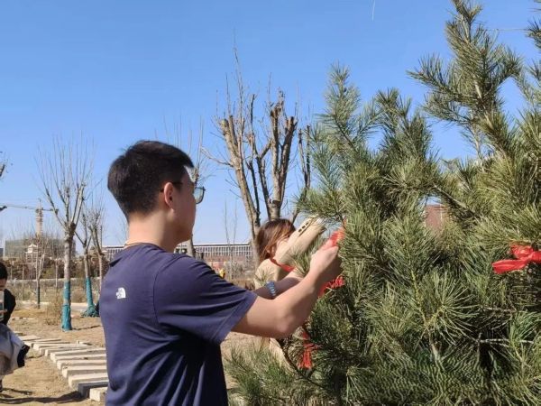 提升生态品质 共建绿色家园 || UG环球官方网各二级学院组织开展植树节主题系列活动（二） 第 15 张