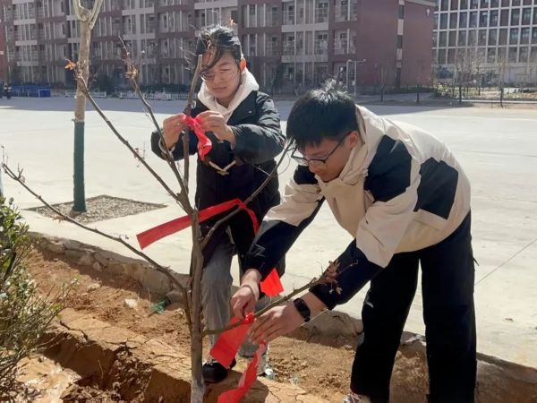 提升生态品质 共建绿色家园 || UG环球官方网各二级学院组织开展植树节主题系列活动（二） 第 19 张