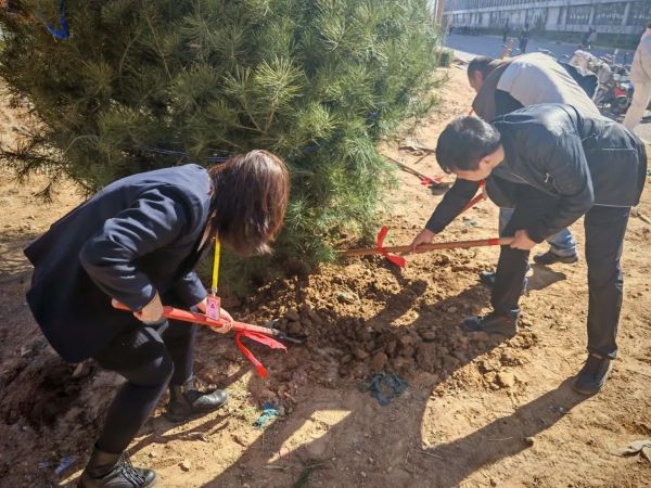 提升生态品质 共建绿色家园||UG环球官方网各二级学院组织开展植树节主题系列活动（一） 第 12 张