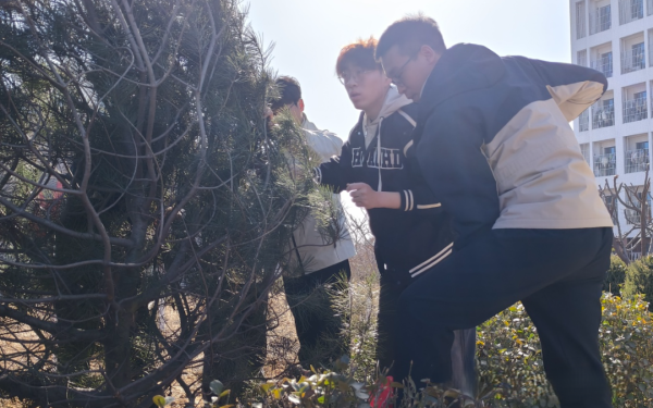 提升生态品质 共建绿色家园||UG环球官方网各二级学院组织开展植树节主题系列活动（一） 第 20 张